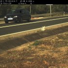 Imatge del turisme que circulava a 174 km/h per una via limitada a 70 km/h a Ulldecona.
