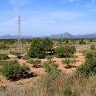 Terrenys de la zona dels Comellarets al terme municipal de Mont-roig del Camp, on s'instal·larà la fàbrica de l'empresa sud-coreana ILJIN Materials.