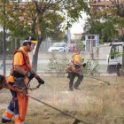 L’empresa adjudicatària haurà de retirar les herbes i la vegetació espontània de l’espai públic amb desbrossadores.