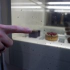 Fotografia dels desperfectes al vidre de la gelateria Amarena durant els actes de foc.