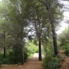 Parc de les Pedreres, un dels refugis climàtics de Salou