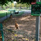 Imatge del pipicà del Parc de la Ciutat, un dels 13 dels quals disposa Tarragona.