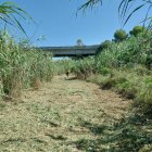 Imatge d'un dels camins desbrossats a Tarragona aquest estiu.