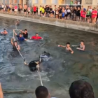 Instant del bou capllaçat al canal.