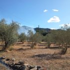 Imatge de l'incendi a Vimbodí i Poblet