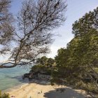 Una bona excusa per acomiadar l’estiu a Miami Platja