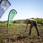 La Cooperativa Agrícola acollirà l'acte gastronòmic que complementarà el Calçofest