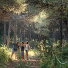 Imagen del bosque de Can Camins.