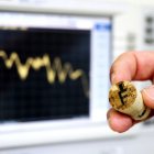 Etiquetes RFID de grafè desenvolupades per la URV gravades als taps de suro