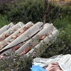 Un fragment de teulada de fibrociment, en un abocador de Juneda