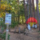 Imagen del bosque pintado de Poblet.