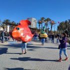 Imatge del seguici amb elements marins