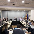 Imatge del ple de la Canonja.