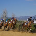 El Cós de Sant Antoni se celebrarà diumenge 18 a la Torre d’en Dolça a partir de les 11 hores.