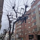 Imagen del tendedero, con ropa, que ha quedado colgado en las ramas de un árbol en Valls.