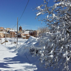 Imatges de la nevada que ha afectat Prades (Baix Camp) i Conesa (Conca de Barberà).