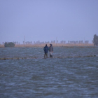 Afectacions del temporal al delta de l'Ebre