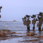 Afectacions del temporal al delta de l'Ebre