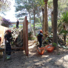 Treballs de restauració vegetal de Cala Morisca de Salou