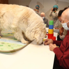 Terapia con perros en el Centro de Alzhéimer de Reus