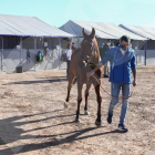 Carreras de caballo del Cós de Sant Antoni de Vila-seca de 2021, se celebró sin público y participaron hasta 15 caballos.