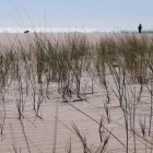 Dues dunes experimentals a Torredembarra