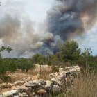 Imatge de l'incendi des d'uns camps de cultiu propers