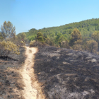 Agents Rurals conclouen que l'incendi de Sant Ramon va ser intencionat