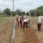 Onze joves s'especialitzen en agricultura ecològica gràcies a la Casa d'Oficis