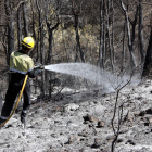 Detalle de un bombero rociando una zona quemada del incendio de la Pobla de Montornès. 6 de agosto de 2016
