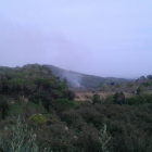 Pequeño incendio forestal entre les Borges del Camp y Alforja