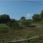 Salvem la Llarga demana un nou barri més petit i fer un gran parc a la Budellera