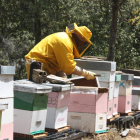 Imagen de archivo de un apicultor trabajando.