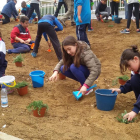 Más de 500 niños celebran el Día del Árbol en l'Hospitalet de l'Infant