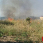 L'incendi va cremar la vegetació de la zona