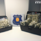 Detenen a Salou un holandès que viatjava en autocar amb 11kg de marihuana