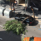 L'arbre ha caigut damunt d'un vehicle estacionat al carrer.