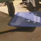 Captura d'un vídeo d'un veí amb una rata a la part superior.