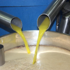 Imagen de archivo de la producción de aceite de oliva en la Cooperativa de Maials. Imagen del 29 de octubre del 2015