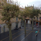 Los tres árboles de la plaza Vella que serán retirados a lo largo de esta semana.