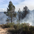 L'incendi de Rasquera ha cremat 2.250 metres quadrats de vegetació agrícola.