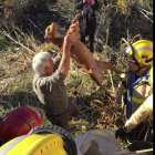 Tres dotacions de bombers han treballat en el rescat del gos.