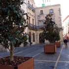 Plano general de la plaça Vella del Vendrell, con el ayuntamiento en el fondo, en el día de colocación de los árboles con torretas móviles.