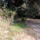 Barranco próximo en unos viveros de Mont-roig del Camp, donde apareció un cadáver dentro de una bolsa de basura.