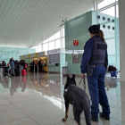 Es reforça la seguretat dels aeroports de Catalunya i del metro
