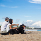 Los propietarios de animales domésticos ya podrán disfrutar de la playa acompañados con sus mascotas en época turística.