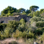 Imatge de les restes d'un molí fariner de Roda de Berà.