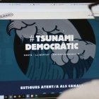 Imatge d'un usuari consultant la web de Tsunami Democràtic