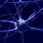 Imagen de archivo de células nerviosas.