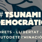 Imagen extraída de la web de Tsunami Democrático.